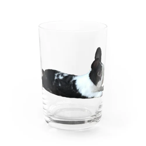 保護うさぎダイちゃんA Water Glass