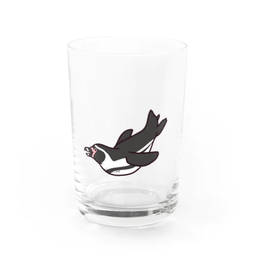 泳ぐ！フンボルトペンギン Water Glass