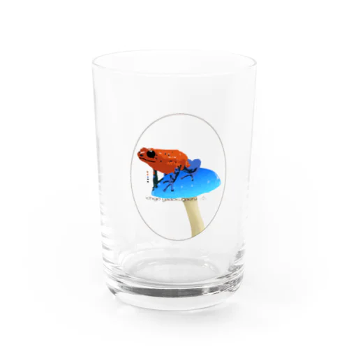 イチゴヤドクガエル Water Glass