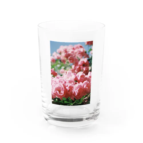 Beautiful flowers Water Glass