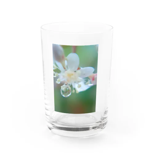 花雫A Water Glass