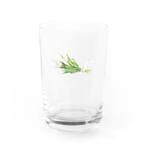 チューリップの花束 Water Glass