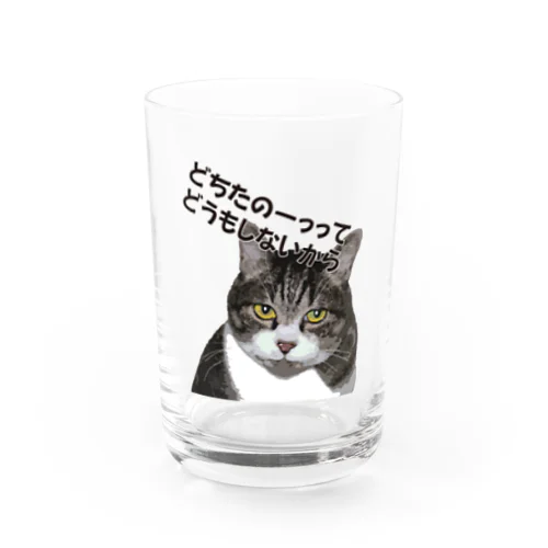 トラ猫タケル Water Glass