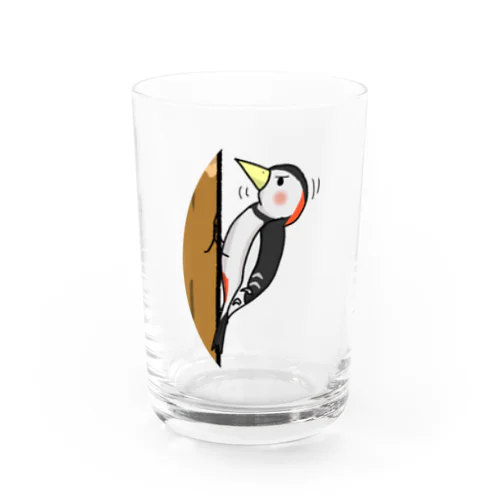 かなり頑張るキツツキ君 Water Glass