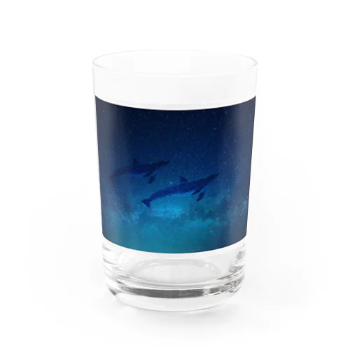 space dolphin  Water Glass