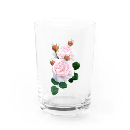 蕾のついたピンクの薔薇 Water Glass