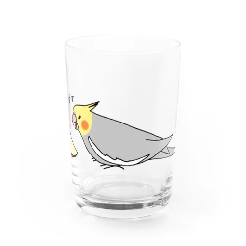 りんごにキレるオカメインコ  Water Glass