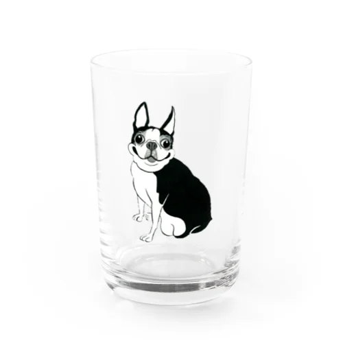 ボストンテリア Water Glass