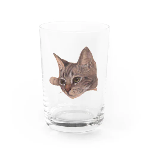 仔猫のくらら Water Glass