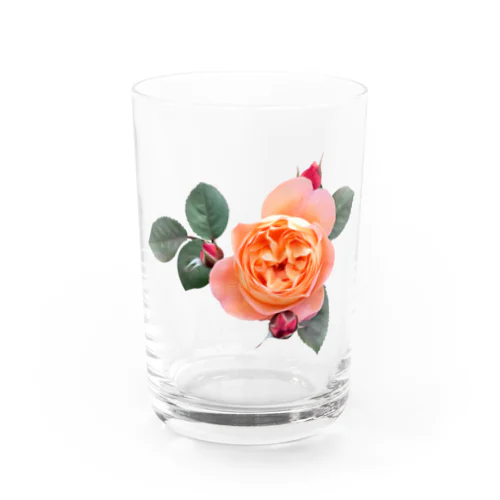 【ロマン】蕾と葉のついたオレンジピンクの薔薇 グラス