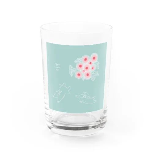 ととめめ明日のお花：5月10日 Water Glass