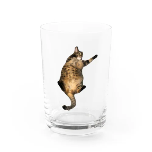 怠惰 Water Glass