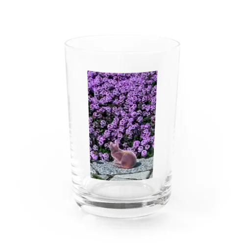 ねこさんぽ・パープルフラワー Water Glass