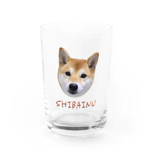 kawaii柴犬・改 Water Glass
