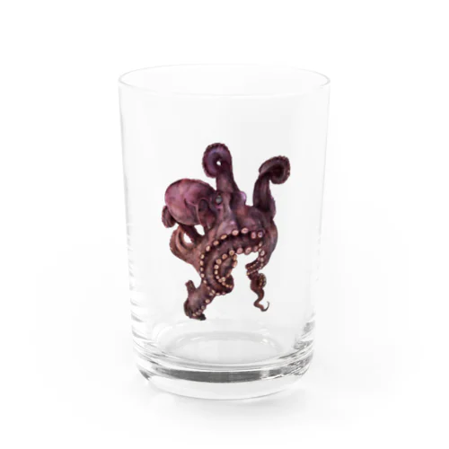  octopus Water Glass