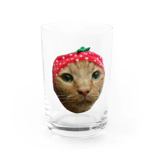 ヤスシ② 🍓version Water Glass