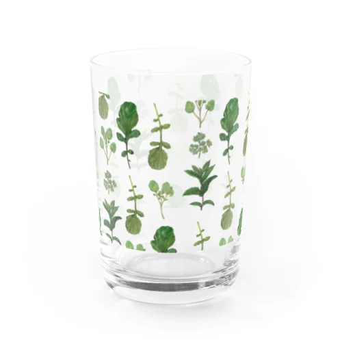 herb Water Glass