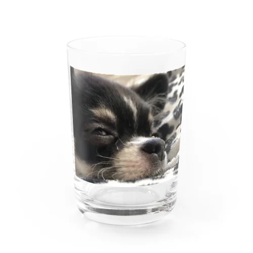 クー（目瞑ってる） Water Glass