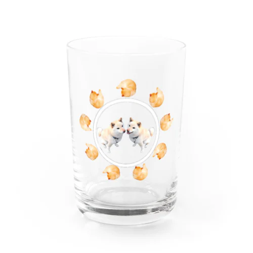 阿吽柴犬ぽんぽろぽん Water Glass