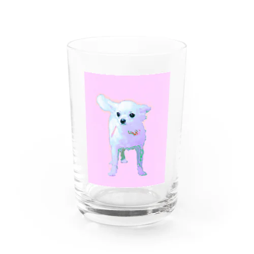 チワワ♡ Water Glass