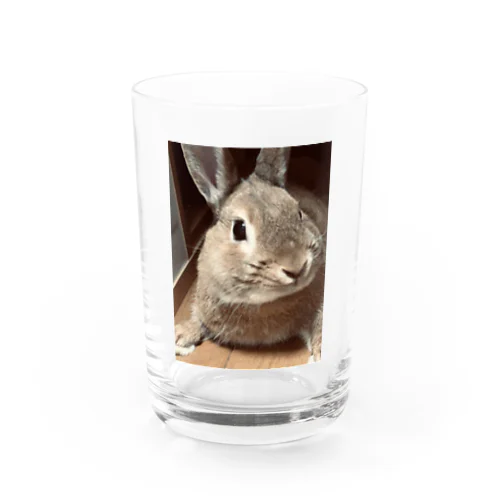 うさぎのはんちゃん. Water Glass