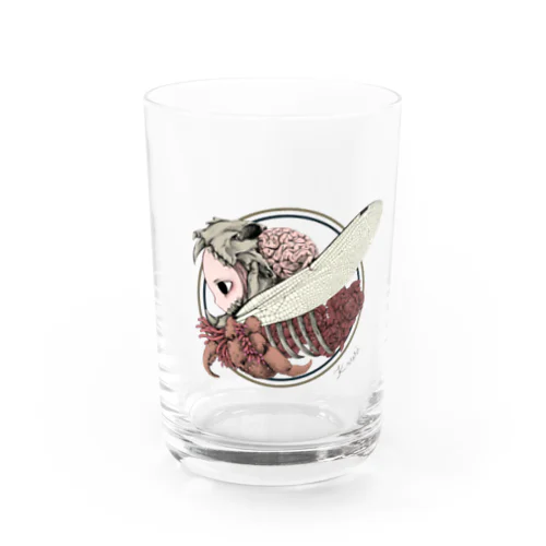 KAORI   Hermit crad Water Glass