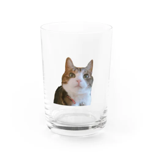 ふーたん Water Glass