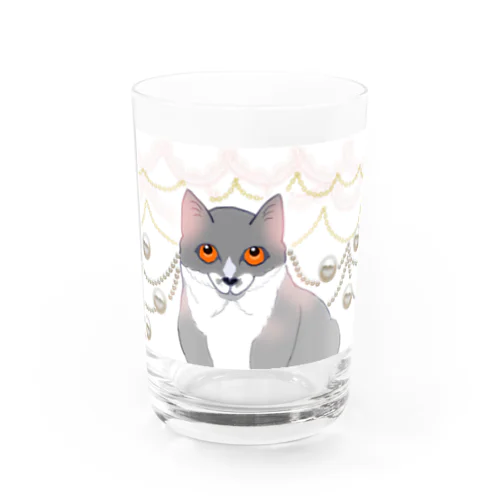 愛らしい子猫の上目遣い Water Glass