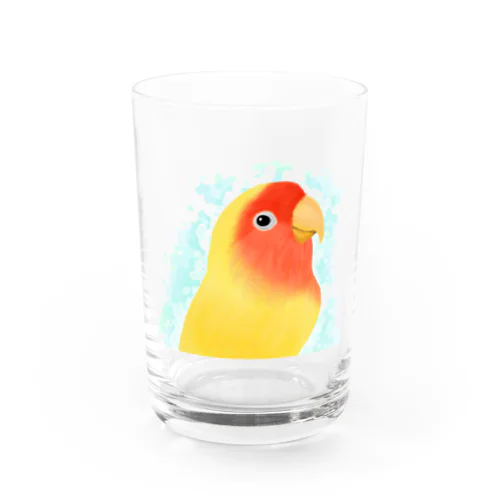 ほんわかコザクラインコ　ルチノー【まめるりはことり】 Water Glass