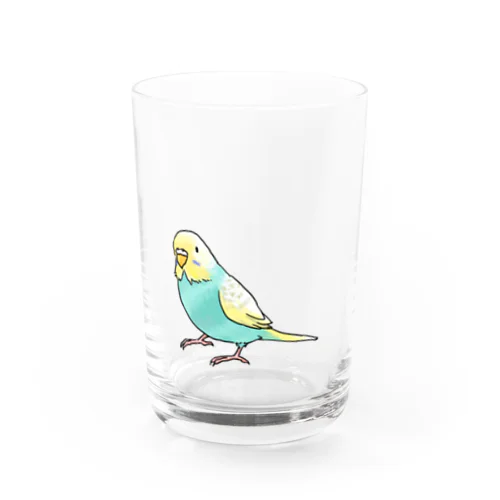 ごきげんセキセイインコ【まめるりはことり】 Water Glass
