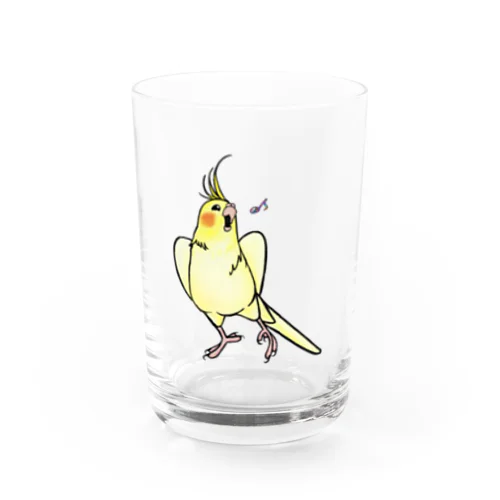 オカメインコのルビー Water Glass