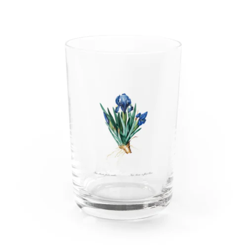 お花図鑑２ Water Glass