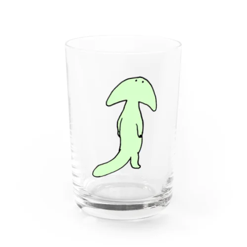 ディプロカウルス Water Glass