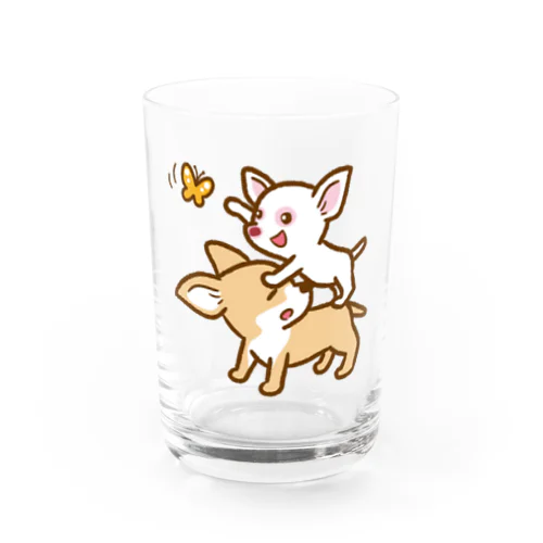 スムースチワワの Lulu と Kiki - 2 Water Glass