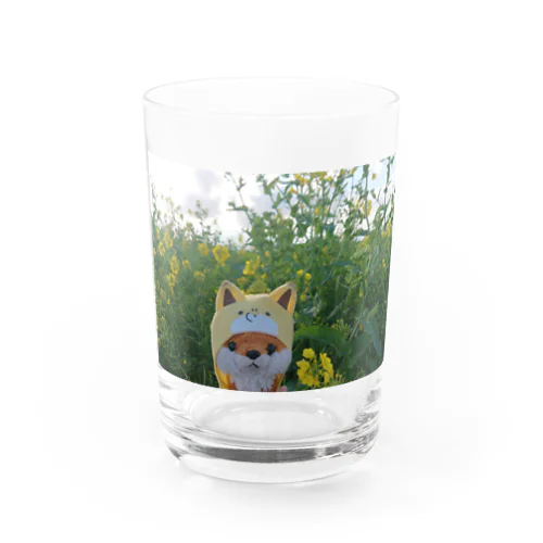 コギツネちゃん Water Glass