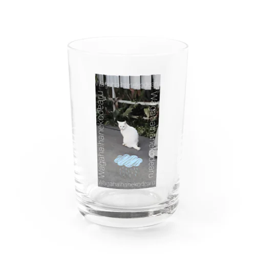 WAGAHAIHANEKODEARU Water Glass