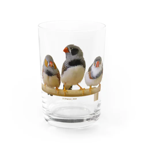 3羽キンカ Water Glass