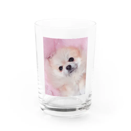 どあっぷトーストちゃん Water Glass