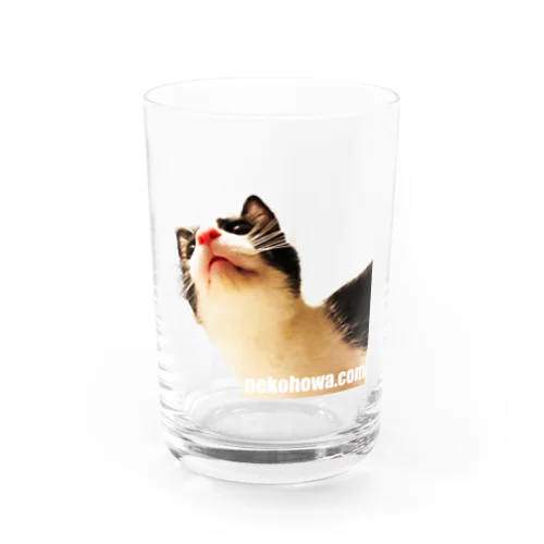 ねこほわどっとこむ【ドヤ顔】 Water Glass