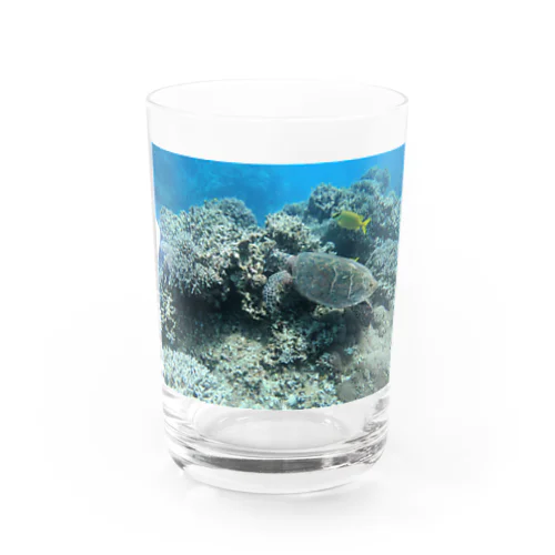 沖縄　ウミガメグッズ Water Glass