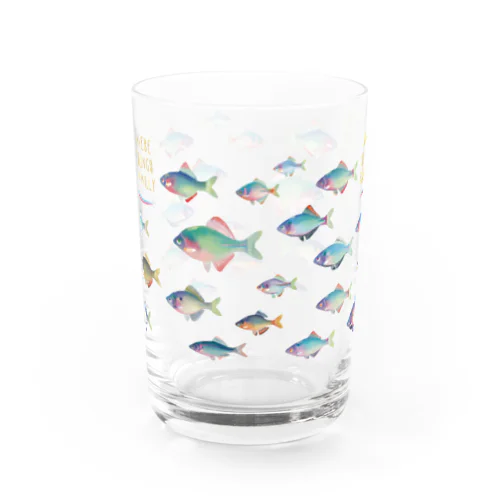 日本のタナゴ Water Glass