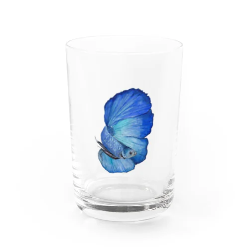 青ベタ Water Glass