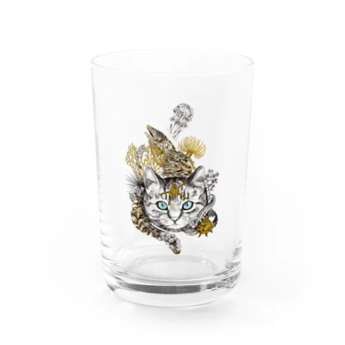 磯猫 Water Glass