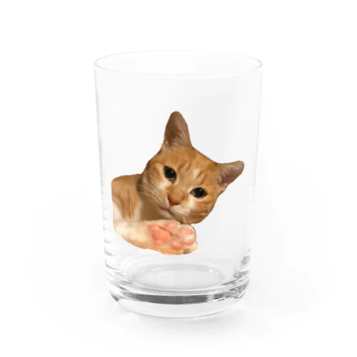 まめ①肉球🐾version Water Glass