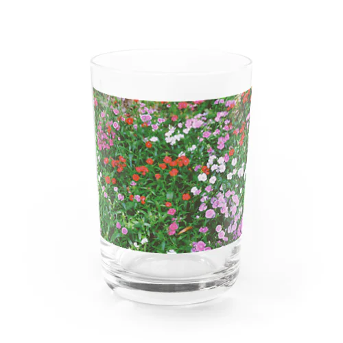 花畑 Water Glass