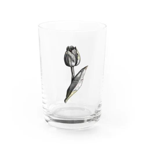 チューリップ(新聞) Water Glass