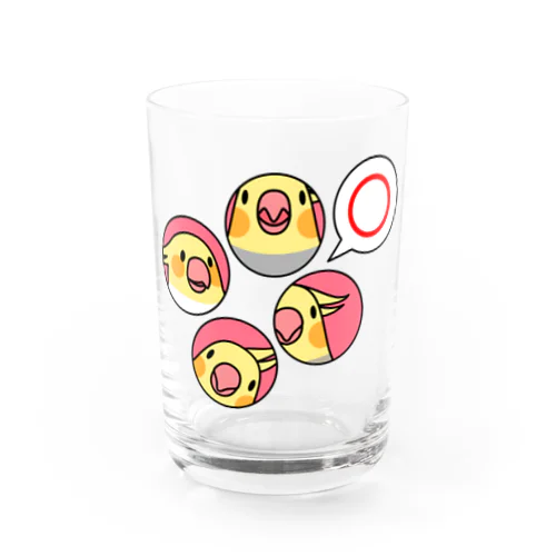 オカメインコまる〇【まめるりはことり】 Water Glass