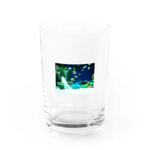 アクアリウム Water Glass