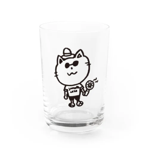 summer cat Water Glass