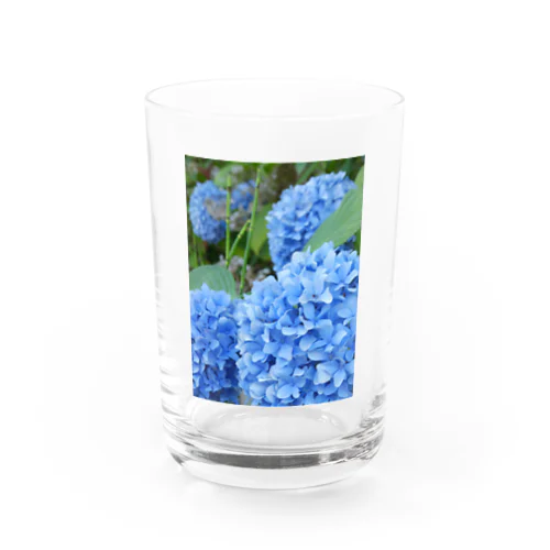 紫陽花 Water Glass